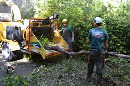 tree services Lonoke